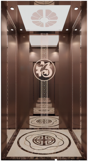 Luksusdekoration hjem elevator